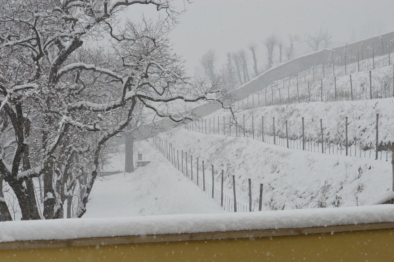 Villa Biondelli Wine & Suites Cazzago San Martino Εξωτερικό φωτογραφία